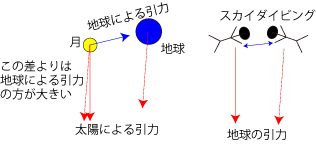 地球も月も太陽に引かれる 地球も月も太陽に引かれる