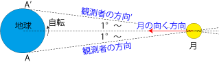 日周ひょう動 日周ひょう動
