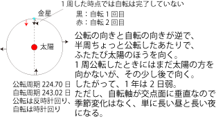 金星の1日 金星の1日